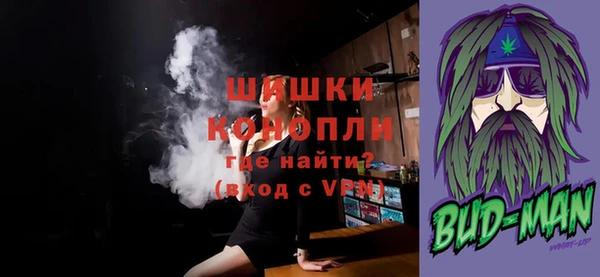 шишки Белокуриха
