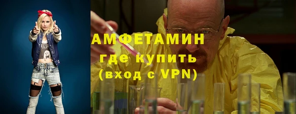 шишки Белокуриха