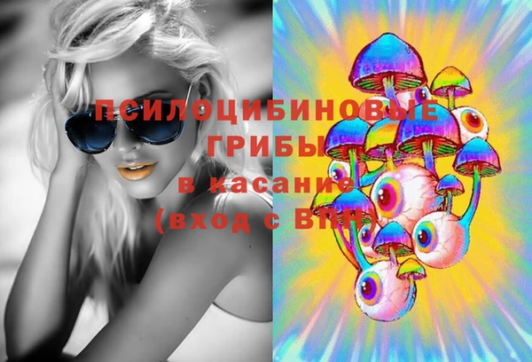 шишки Белокуриха