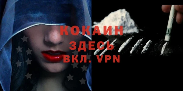шишки Белокуриха
