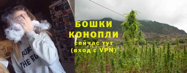шишки Белокуриха