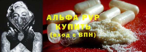 шишки Белокуриха