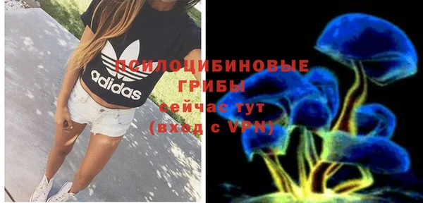 шишки Белокуриха