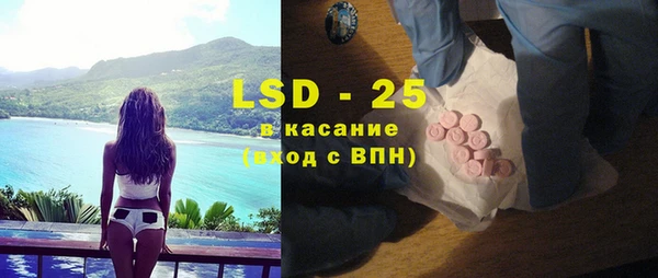шишки Белокуриха