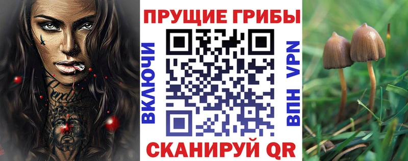 Псилоцибиновые грибы Psilocybine cubensis  гидра   Надым 